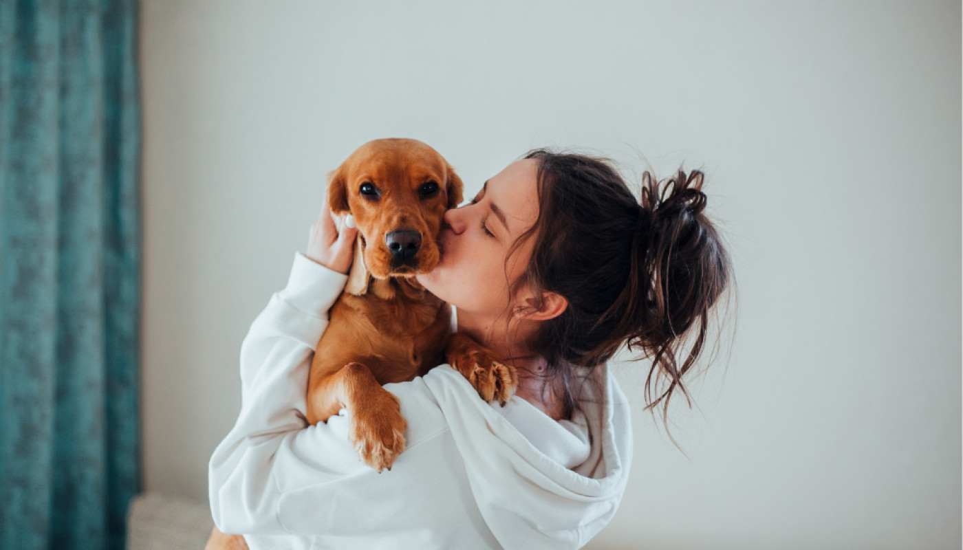 Découvrez Kitaverm, le vermifuge naturel pour chien sans effets secondaires